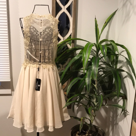 Faviana Sheer Lace Overlay Gold Trim Dress - Picture 2 of 7